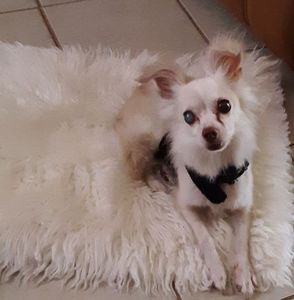 Meet your Posher, Victoria jaquez